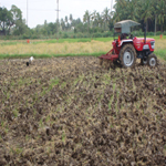 ploughing